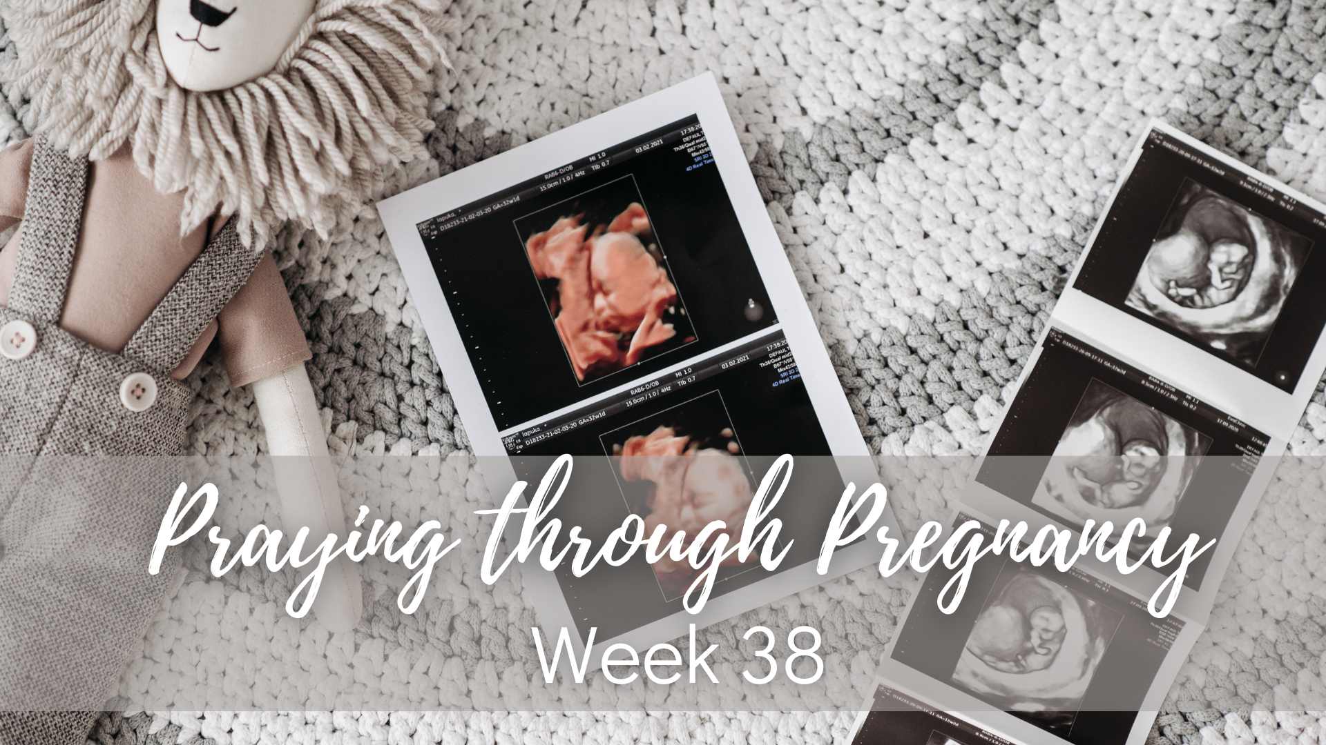 I Love You Already: 40 Weekly Devotions for the Expectant Mother