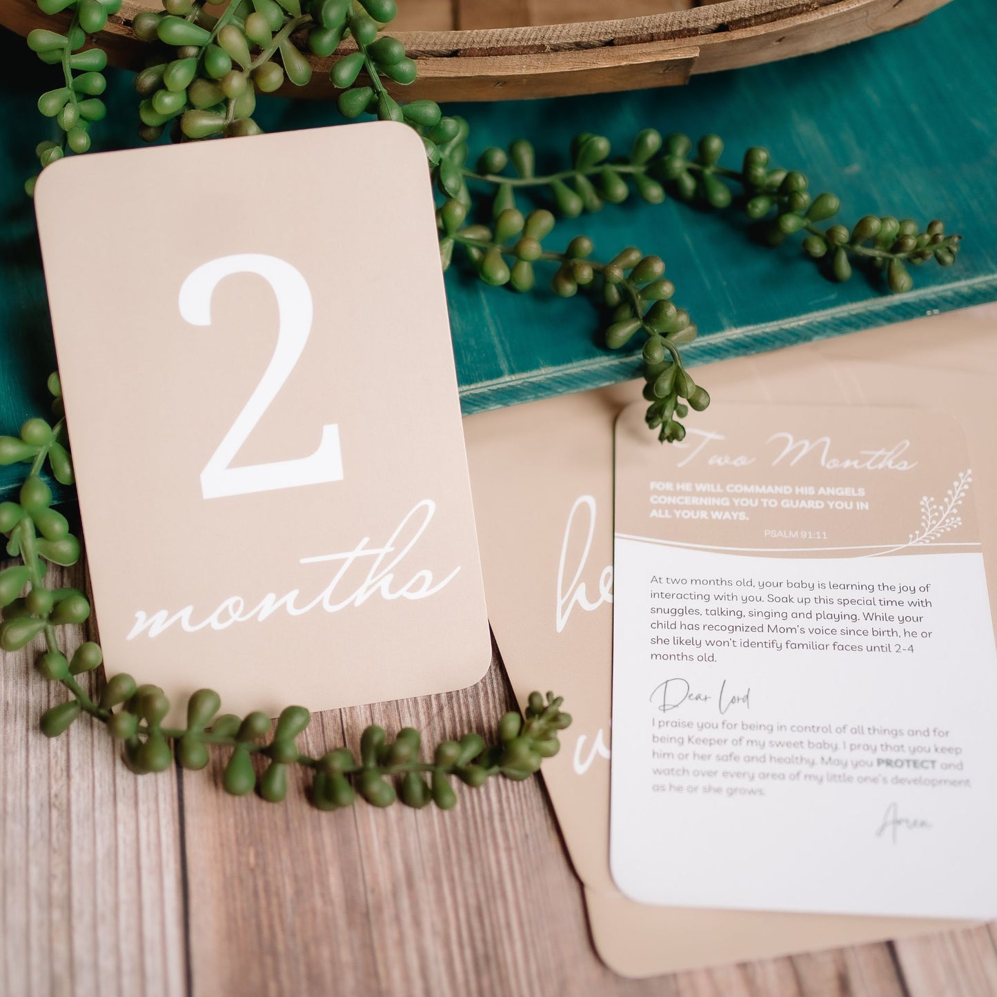 Prayer & Milestone Cards for Baby's First Year - Classic