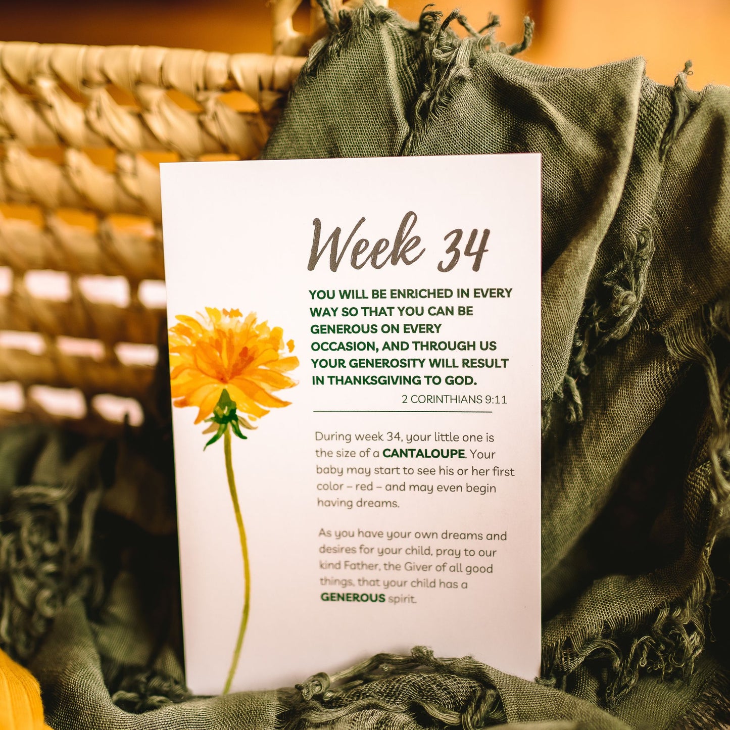 Pregnancy Prayer Cards