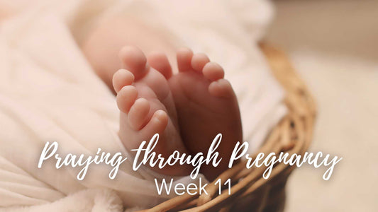 Praying Through Pregnancy - Week 11