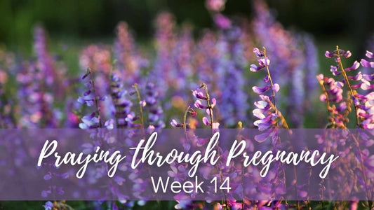 Praying Through Pregnancy - Week 14