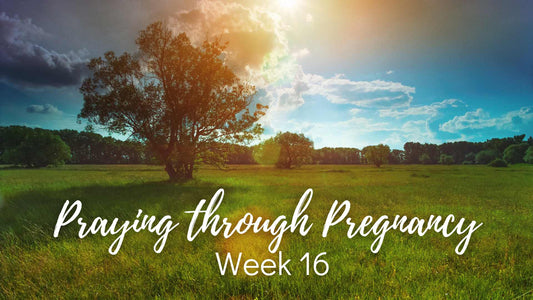 Praying Through Pregnancy - Week 16