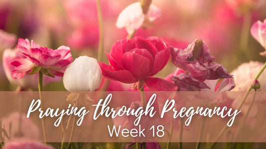 Praying Through Pregnancy - Week 18