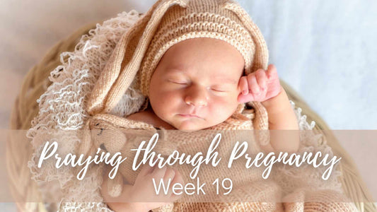 Praying Through Pregnancy - Week 19