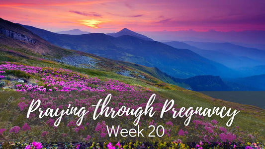 Praying through Pregnancy - Week 20