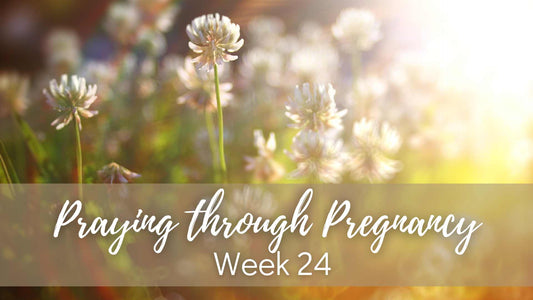 Praying Through Pregnancy - Week 24