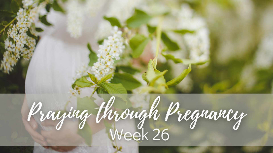 Praying Through Pregnancy - Week 26