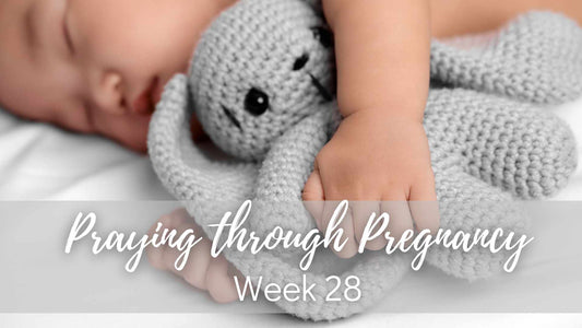 Praying Through Pregnancy - Week 28