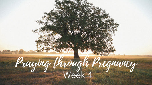 Praying Through Your Pregnancy - Week 4