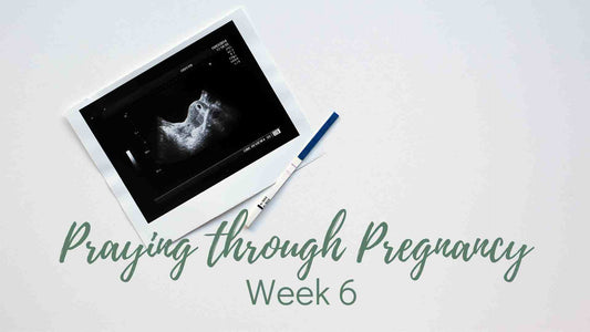 Praying Through Your Pregnancy - Week 6