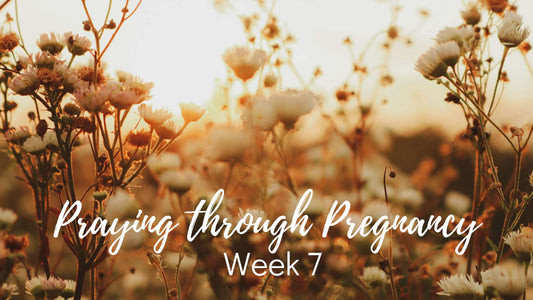 Praying Through Your Pregnancy - Week 7